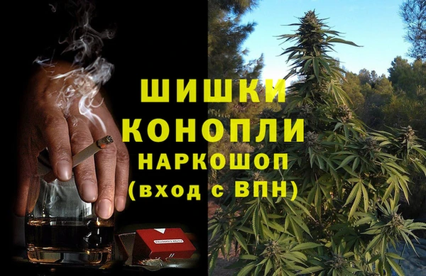 альфа пвп Гусев
