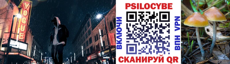 omg как зайти  Сорочинск  Псилоцибиновые грибы Psilocybine cubensis 